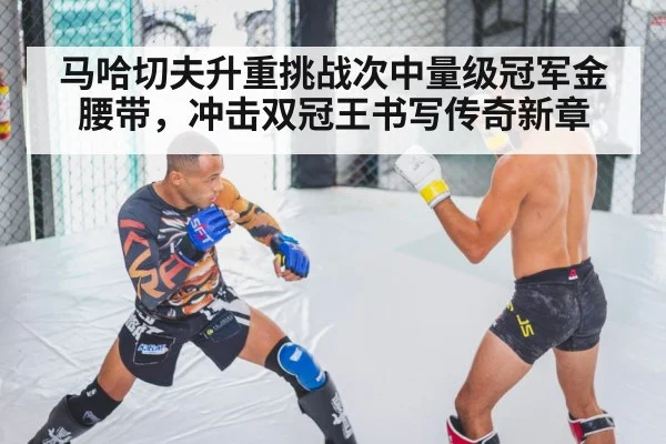 MMA fighter training