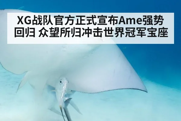 XG战队官方正式宣布Ame强势回归 众望所归冲击世界冠军宝座